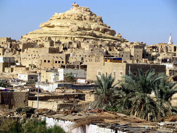 Egypt western desert siwa oasis