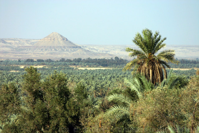 siwa egypt tours